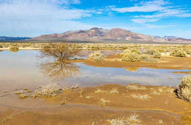 Reflection of The Funeral Mountains in Small Pool, Armagosa Valley, California, USA