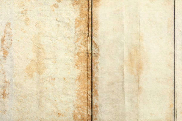 Empty pages of old book, paper texture background