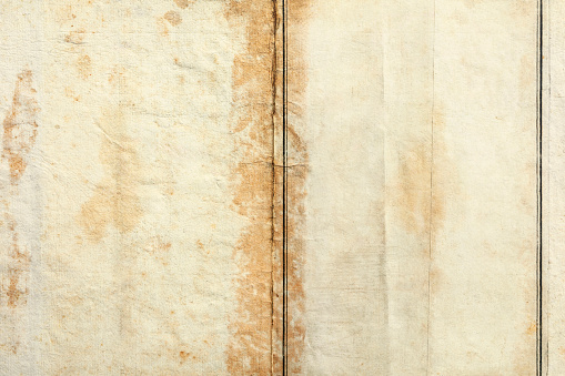 Detail of ancient book page, texture background