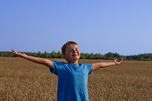A handsome tanned child boy stands in a wheat field with his arms outstretched to the sides and enjoys summer freedom. A child in the rays of the summer sun in a wheat field against the blue sky.