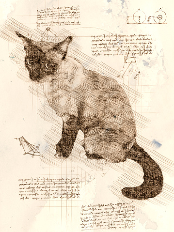 da Vinci sketch of siamese cat based on photography and isolated object generated in Photoshop