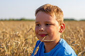 Close-up. Portrait. A child enjoys a summer vacation in a wheat field with a straw in his mouth. On a clear day in summer, a cute child boy sits in a wheat field and enjoys the summer.