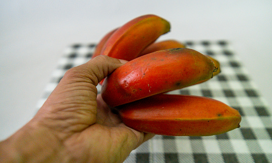 Red banana fruit present in a large part of Brazilian territory