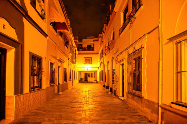Seville, Spain - March 20, 2024: Night view of a narrow cobblestone street in the old town or historic district in the famous tourist attraction city.