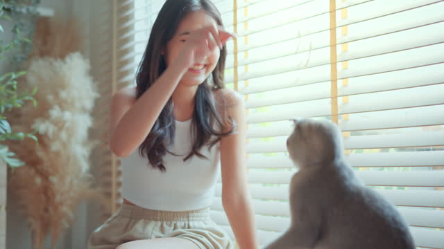 Happy young Asian woman using cat toy playing with her Scottish fold cat in living room, Pets owner relationship concept