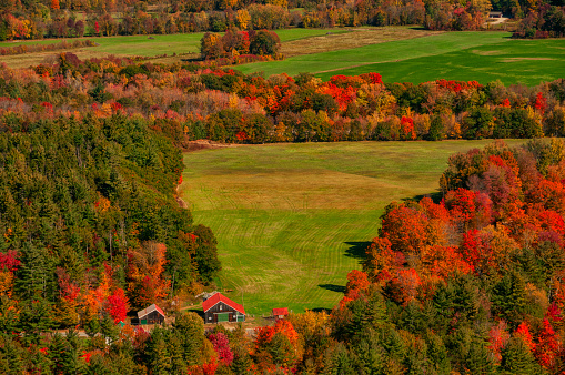 top view of the autumn colorful forest and fields and cute houses. USA. New Hampshire