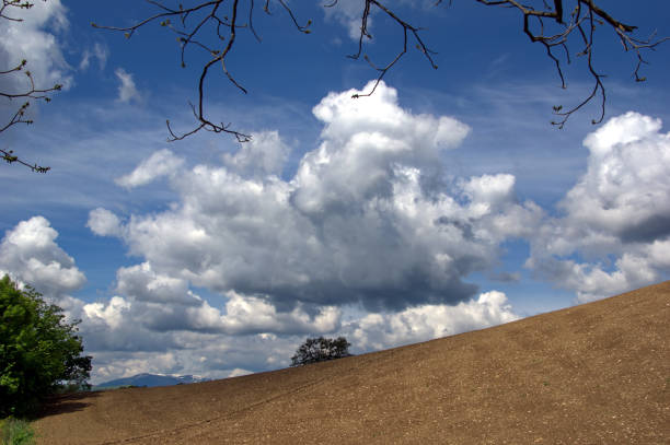 Spring in Anatolia