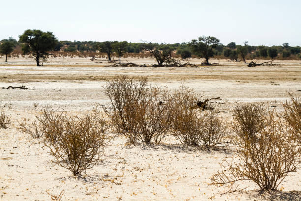Namib Desert. Sossusvlei.