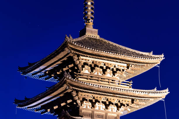 Lake Buenavista, Fl, USA, 4-7-24. Pine tree branch in front of Japanese pagoda with blue skies