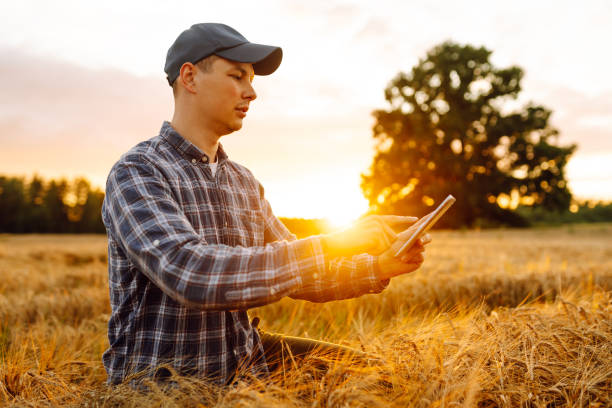 istock Farmer working with Tablet on wheat field. 2149416245