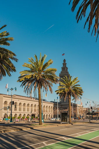 San Francisco, California, April 8, 2024. Tall palm trees line the street leading to the Ferry Building with a clear blue sky above.