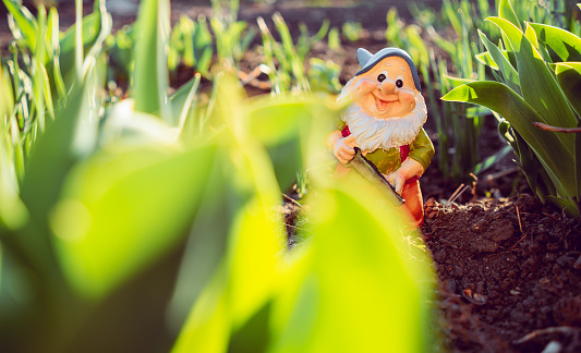 A gnome figurine stands in the center of a blossoming garden, surrounded by colorful flowers and lush greenery, under the bright sunlight