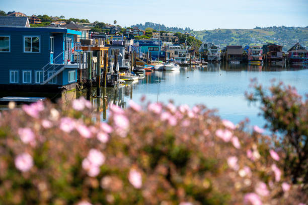 Floating houses in Sausalito with flowers in foreground during springtime day