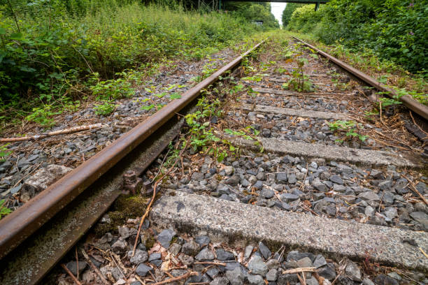 istock railway tracks close up in the green 2149419717