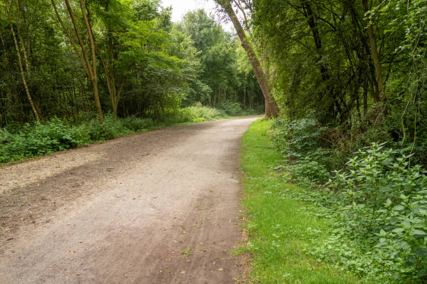 istock country lane in a beautiful landscape 2149420201
