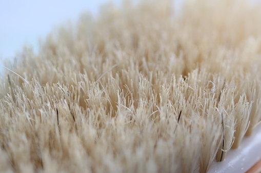 Detailed close up of a brush with many hair strands, suitable for beauty or grooming concepts.