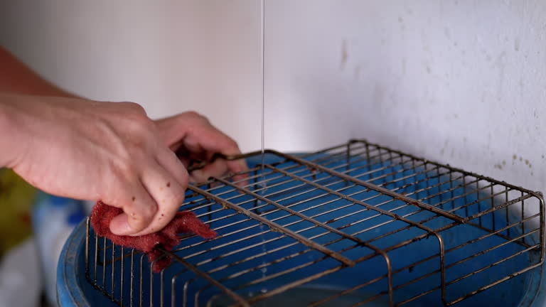 Male Hands Washing a Dirty metal Grate with a Sponge under Running Water