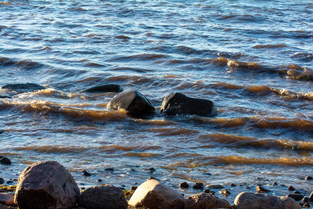 Big stones lie in the water on the Baltic Sea coast, with waves