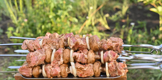 istock raw meat on skewers. BBQ 2149426347