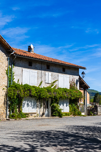 House in the lower town of Saint-Bertrand-de-Comminges with a facade covered in climbing plants