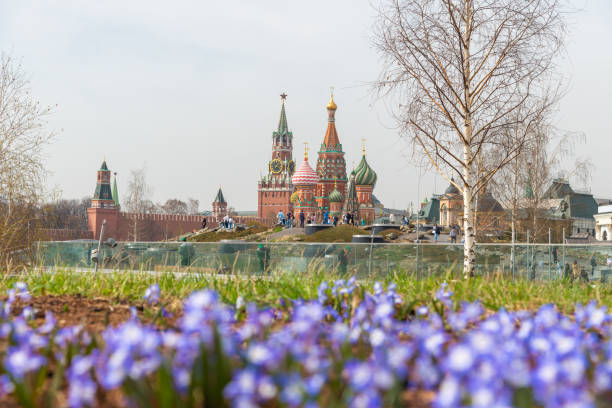 Russia, Moscow - April 10, 2024: View of Moscow Kremlin and Saint Basil's Cathedral from Zaryadye park. Blurred small blue and white Scilla forbesii flowers in the foreground. Travel in Russia theme.