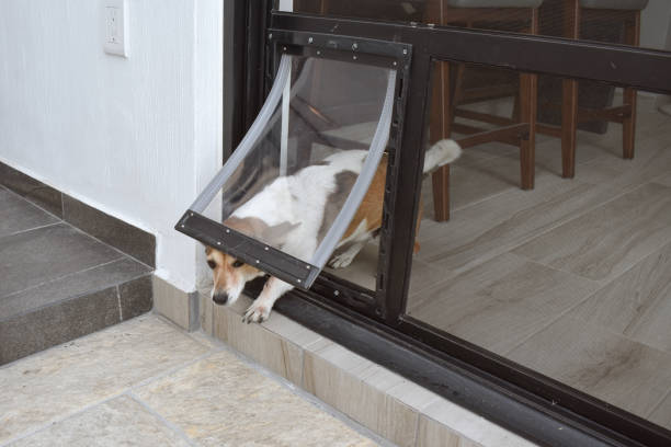 Pet door being used by a dog