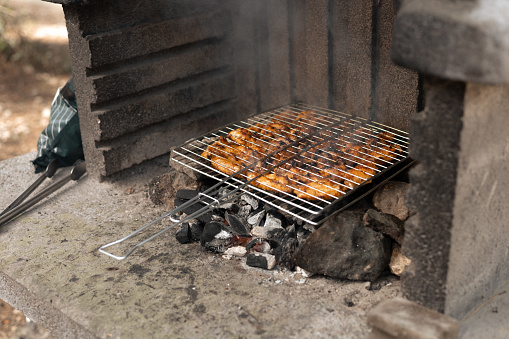 photo of a barbecue for cooking shish kebab with a grid of meat in a picnic park in forest, hot spring day. High quality photo