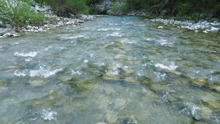Drone captures clear waters in mountain river, drone provides unique view. Mountain river, drone records rocky stream from above. Footage of mountain river, drone showcases natural landscape