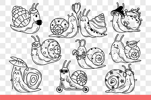 Cute snails with shell that protects from birds and happy emotions. Set of sea or rain snails from family of slugs crawling along street for design of children books and magazines. Hand drawn doodle