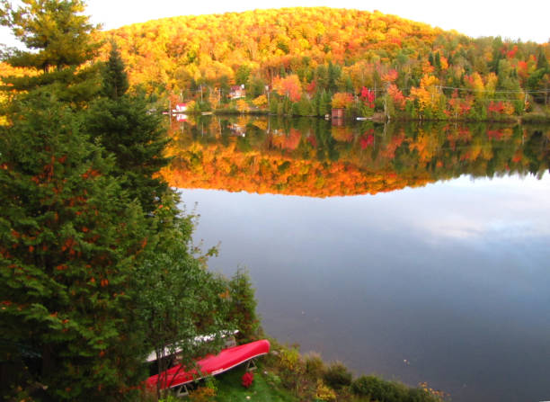 Vibrant tree adorns the mountain, its colors mirrored in the serene lake below. In the foreground, evergreen trees and canoes add to the picturesque scene.