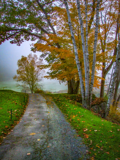 Fall Serenity: Sunrise on New Hampshire's Quiet Road
