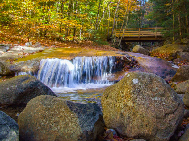 Small Waterfall, Wooden Bridge, and Rustic Rocks