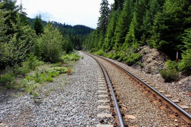 Train rail surrounded by trees in British Colombia