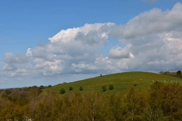 istock Hill pasture with sheep and trees 2149440614