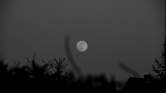 In this monochromatic image, a full moon hangs with ethereal clarity in a twilight sky. Foregrounded by a darkened landscape, silhouettes of bare tree branches reach upward, grasping at the glowing orb. The edges of a roof peak into view, anchoring the scene in a mysterious nocturnal world.