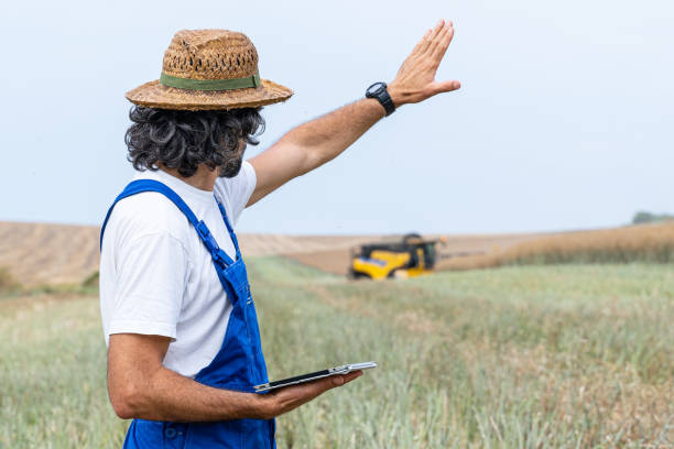 istock Smart farming. Farmer during wheat harvest season. 2149448474