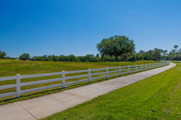 istock Daytime landscape of a park 2149448814