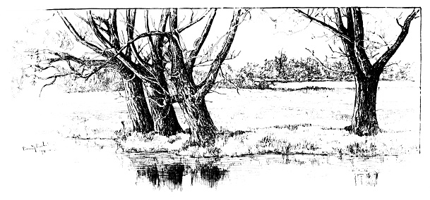 A bare winter scene with a river and bare Chestnut trees. Illustration published 1898. Original edition is from my own archives. Copyright has expired and is in Public Domain.