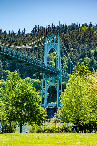 Cathedral Park Grassy Field With St. Johns Bridge Along Forest Park in Portland, OR