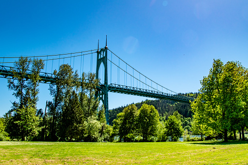 St. Johns Bridge in Portland, OR at Cathedral Park Grassy Field