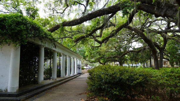 istock Flower Garden in Forsyth Park Savannah 2149454826