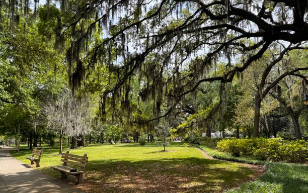 istock A beautiful Square in Savannah Georgia 2149454971