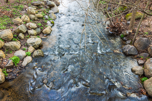 Close-up view of a stream flowing in the park on a cloudy spring day.