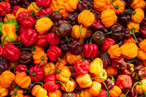 Habanero chili that are coloful and very hot to eat, sold in the morning market of Belize