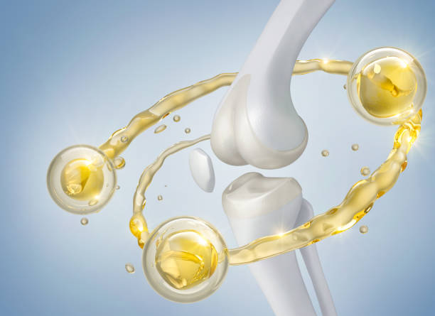istock healthy bone human with Foods vitamin or Calcium. 2149457560
