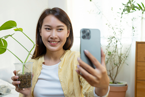 Asian female holding small tree in plant pots made from plastic bottles recycled selfie photo with smartphone for sale at home. Entrepreneurship sale tree small business online. Owner business woman.