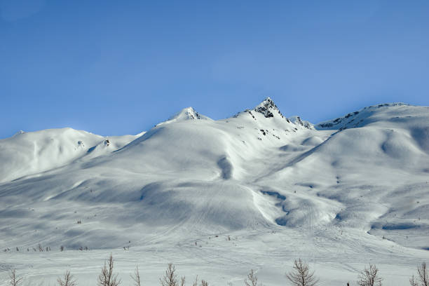The mountains of Alaska rise above the tree line. A stunning site to see on this bright day in Fall. Many mountains such as these can be seen when traveling through interior Alaska The road is long however, travelers will be amazed at the scenic views along the way.