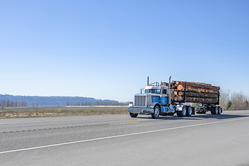 Industrial carrier blue day cab big rig semi-truck tractor with protection grid on the cab back transporting fastened wood logs on the semi trailer running on the flat road in Columbia Gorge