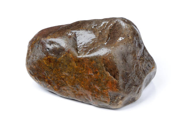 Large, dark, wet stone isolated against a clean white background, showcasing its impressive size and intriguing texture