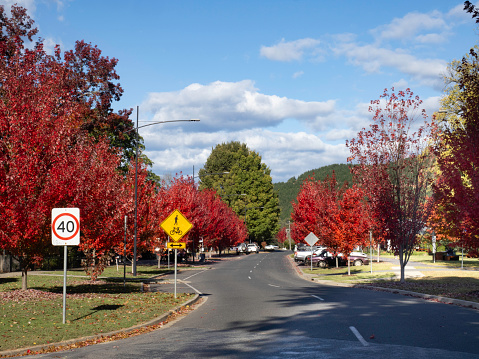 in street in Porepunkah in the Victorian High Country with its Autumn trees in full color